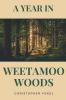 A Year in Weetamoo Woods