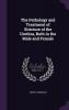 The Pathology and Treatment of Stricture of the Urethra Both in the Male and Female