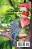 History of the Promise Bible Handbook: Sample