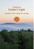 Walking in Lindee's Light