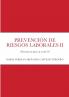 PREVENCIÓN DE RIESGOS LABORALES II