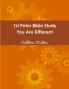 1st Peter Bible Study   You Are Different