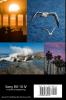The Friedman Archives Guide to the Sony RX-10 IV (B&W Edition)