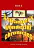 A stranger's wonderful chronicles Book 2