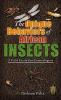 The Unique Behaviors Of African Insects