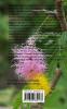 The Small Plant Guide to the Desert Plants