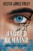 Jagged Remains (The Keeper Chronicles Book 4)