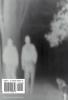 The Trickster and the Paranormal
