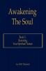 Awakening The Soul