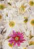 1001 Affirmations