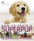 How to Train a Superpup : Unleash your p