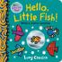 Hello Little Fish! A mirror book