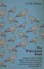 The Widowhood Book - A Complete Guide to the Best Methods of Racing Pigeons on the Widowhood System as Described by the Foremost Experts in Britain Belgium and U.S.A