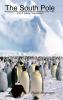 The South Pole