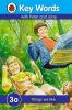 Key Words 3a Things We Like Ladybird