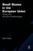 Small States in the European Union