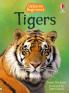 TIGERS