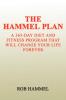 THE HAMMEL PLAN