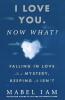 I Love You. Now What?: Falling in Love is a Mystery Keeping It Isn't