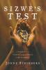 Sizwe's Test: A Young Man's Journey Through Africa's AIDS Epidemic