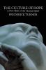 Culture of Hope: A New Birth of the Classical Spirit