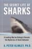 The Secret Life of Sharks