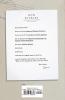 Rickles' Letters