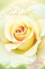 Beloved: Parts I - II The Garden Message & In the Still of the Evening