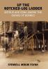 Up the Notched-Log Ladder