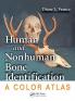 Human and Nonhuman Bone Identification