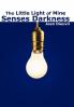 The Little Light of Mine Senses Darkness