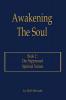 Awakening The Soul