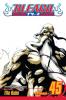 BLEACH 45