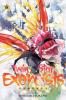 TWIN STAR EXORCISTS VOL. 06