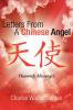 Letters from a Chinese Angel
