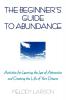 The Beginner's Guide to Abundance