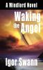 Waking the Angel