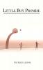 Little Boy Promise