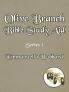 Olive Branch Bible Study Aid