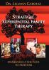 Strategic Experiential Family Therapy