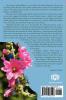 Hollyhock Wisdom