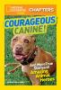 Courageous Canine!