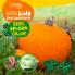 Little Kids First Board Book Seed Sprout Grow!