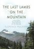 The Last Lambs on the Mountain