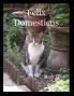 Felix Domesticus