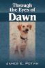 Through the Eyes of Dawn