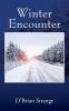 Winter Encounter