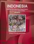 Indonesia Clothing Manufacturing Export-Import and Business Opportunities Handbook - Strategic Information and Contacts