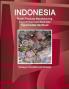 Indonesia Plastic Products Manufacturing Export-Import and Business Opportunities Handbook- Strategic Information and Contacts