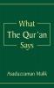What The Qur'an Says